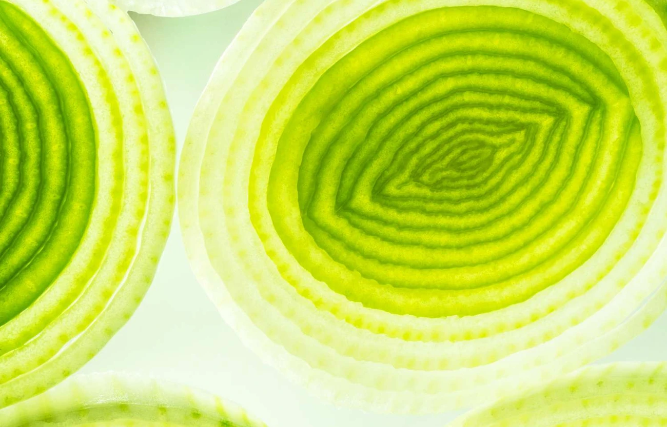Organic Prebiotic Fiber